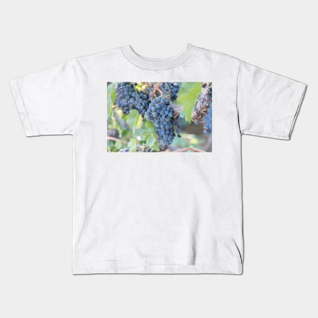 Summer Grapes on the Vine in the Okanagan Valley Kids T-Shirt by Amy-K-Mitchell